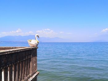 Garda lake view from a terrace 