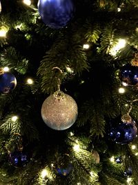 Close-up of illuminated christmas tree