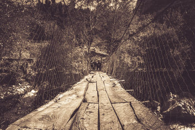 View of footbridge in forest