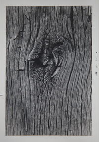 Full frame shot of wooden wall