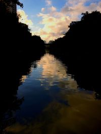 Reflection of trees in water at sunset