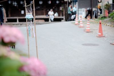 Traffic cones by street