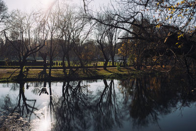 Reflection of bare trees in lake against sky