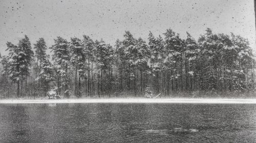 Trees by lake against sky