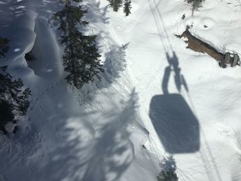 High angle view of frozen trees on field