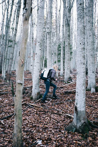 Woman standing by tree trunk in forest
