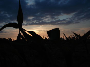 Low angle view of sky at sunset