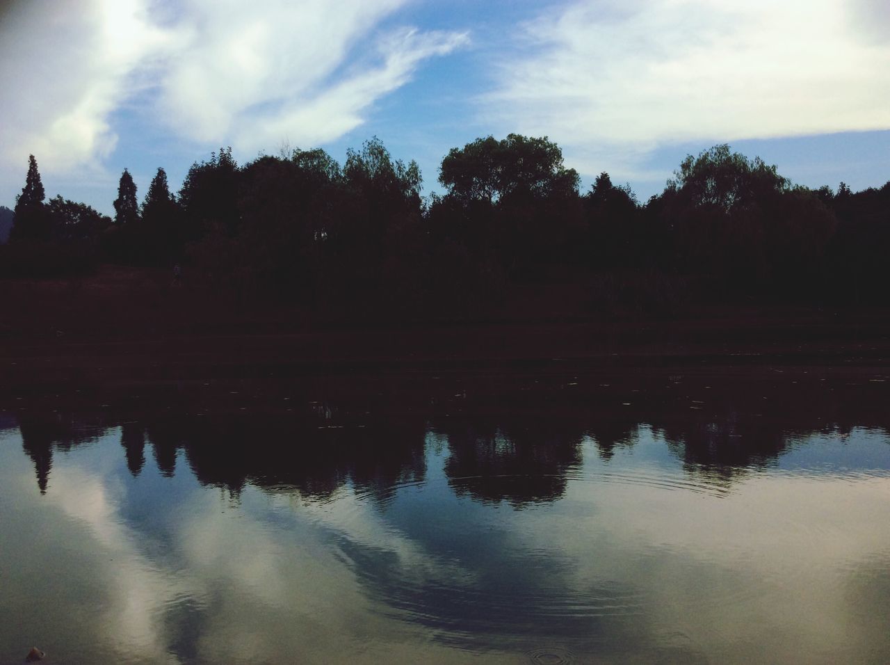 water, reflection, sky, tree, tranquility, tranquil scene, lake, cloud - sky, waterfront, scenics, beauty in nature, nature, cloud, standing water, cloudy, idyllic, dusk, calm, outdoors, non-urban scene