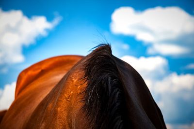 Close-up portrait of woman against sky