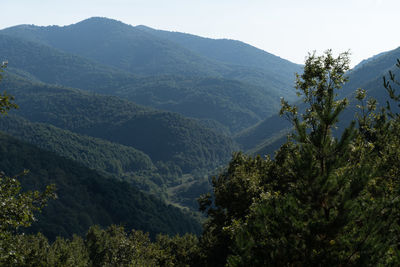 High angle view of trees and mountains against sky