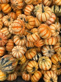 Full frame shot of pumpkins for sale