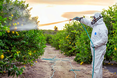 Man working at farm