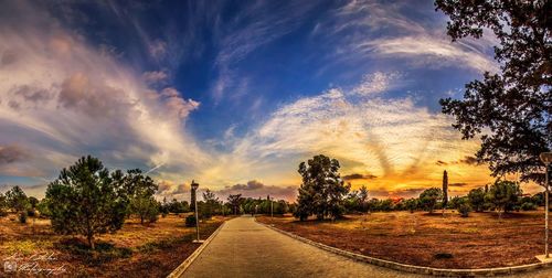 Road passing through forest against cloudy sky