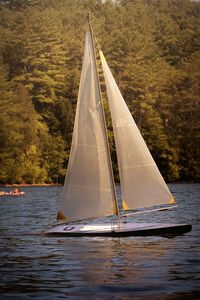 Remote control sailboat at the lake