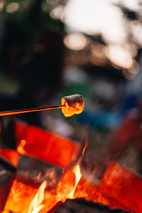 Close-up of fire against blurred background