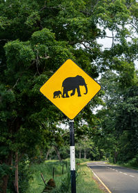 Elephants warning yellow road sign and jungle on background in sri lanka