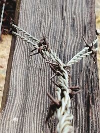 Close-up of barbed wire tied up on fence