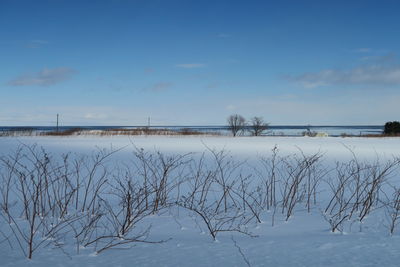 Scenic view of lake against sky during winter