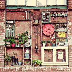 Potted plants arranged in shelf with fuse boxes