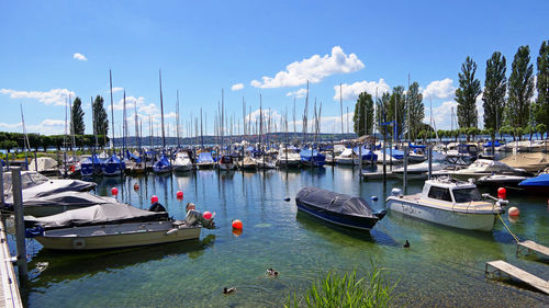 Boats moored at harbor