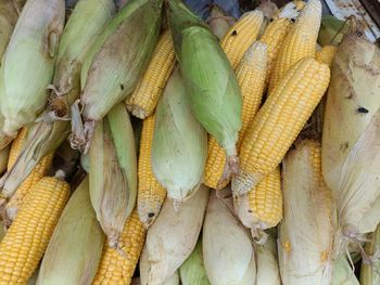 High angle view of sweet corns for sale in market