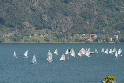 Sailboats on lake como in pianello del lario, como, lombardy, italy.