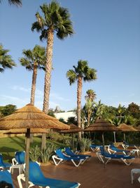 Palm trees on beach against clear blue sky