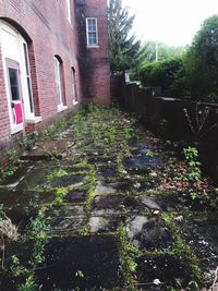 Building with trees in background