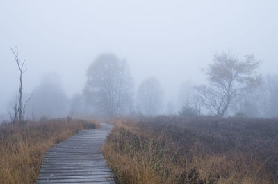 Footpath amidst trees against sky during foggy weather