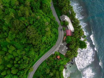 High angle view of the coastal city and forest