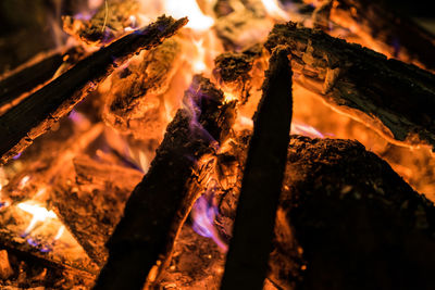 Close-up of campfire