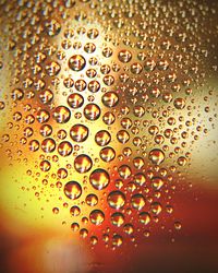 Close-up of water drops on leaf