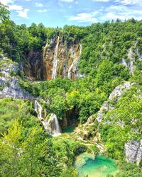 Scenic view of waterfall against trees in forest