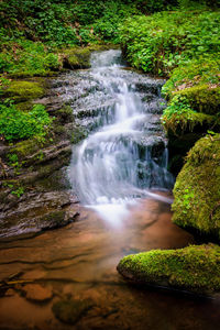 View of waterfall in forest