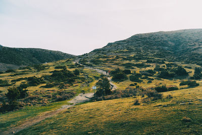 Scenic view of landscape against clear sky