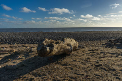 View of crab on beach against sky