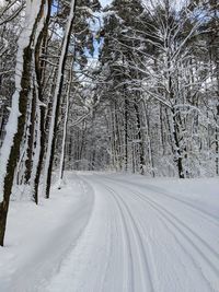 Snow covered ski path amidst trees during winter