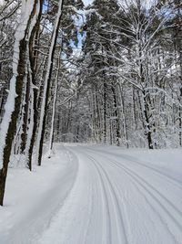 Snow covered road amidst trees during winter