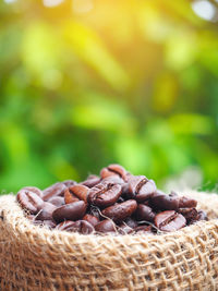 Close-up of coffee beans in basket