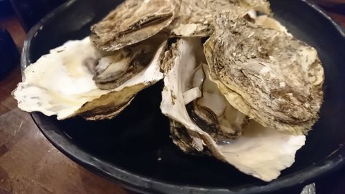 Close-up of ice cream in plate