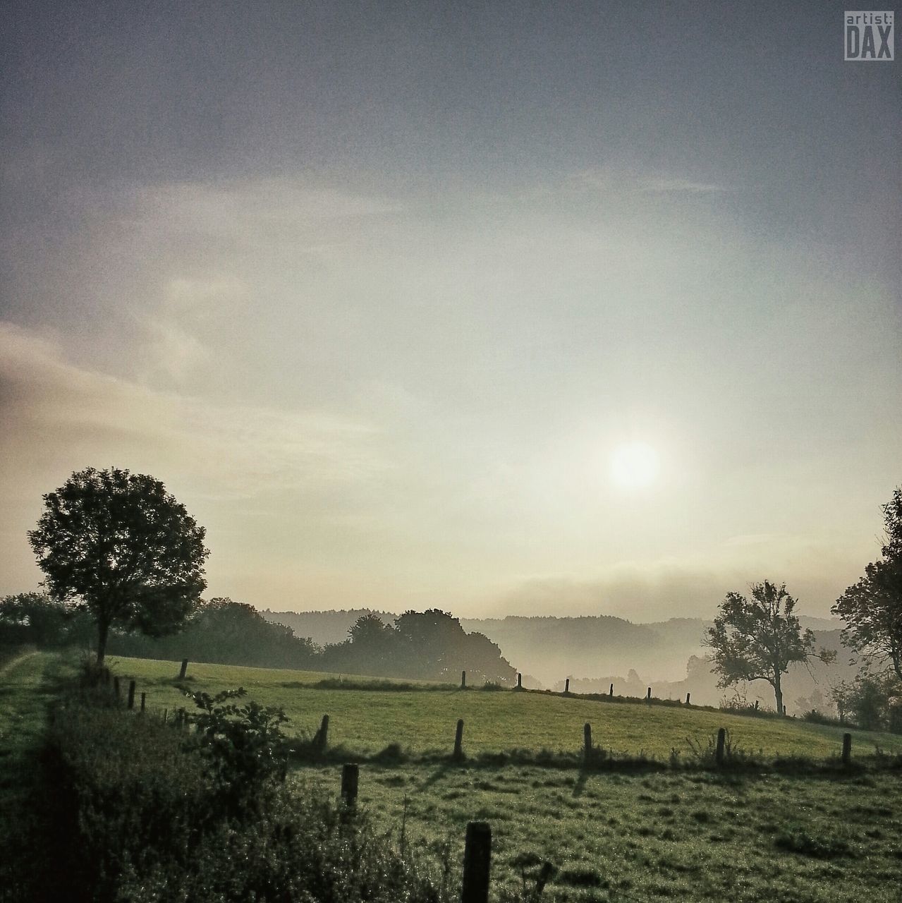 tranquil scene, tranquility, grass, field, landscape, tree, scenics, sun, sky, beauty in nature, nature, sunlight, growth, rural scene, sunset, grassy, idyllic, sunbeam, non-urban scene, fence