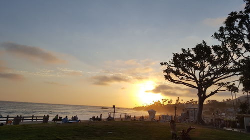 Silhouette of beach during sunset