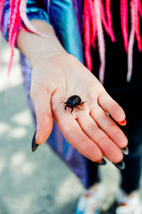 Close-up of insect on hand