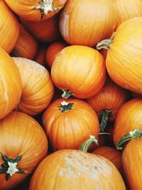 Full frame shot of pumpkins