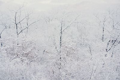 Full frame shot of snow covered land
