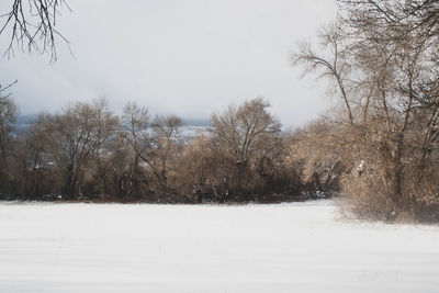 Snow covered land and trees against sky