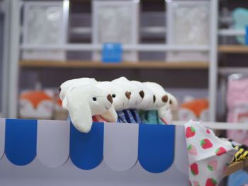 Close-up of stuffed toy