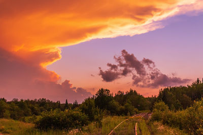 Scenic view of field against sky during sunset