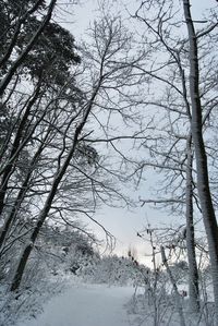 Low angle view of bare trees against clear sky