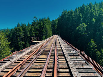 Railroad tracks amidst trees against sky